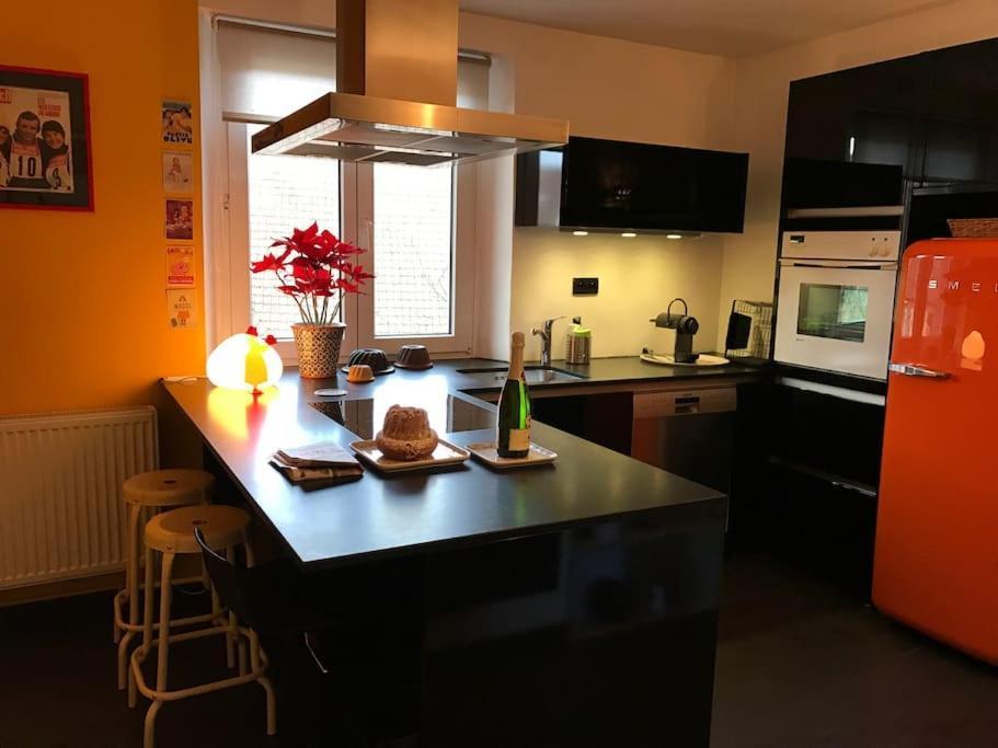 * La Petite Alsacienne * Apartment Ammerschwihr Ngoại thất bức ảnh