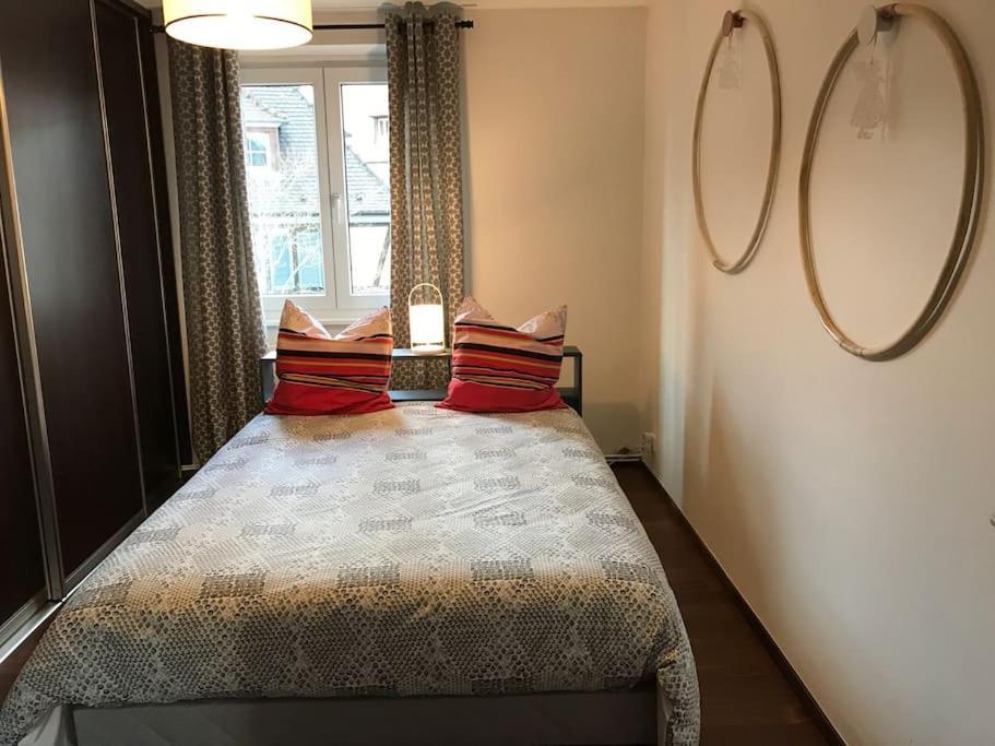 * La Petite Alsacienne * Apartment Ammerschwihr Ngoại thất bức ảnh