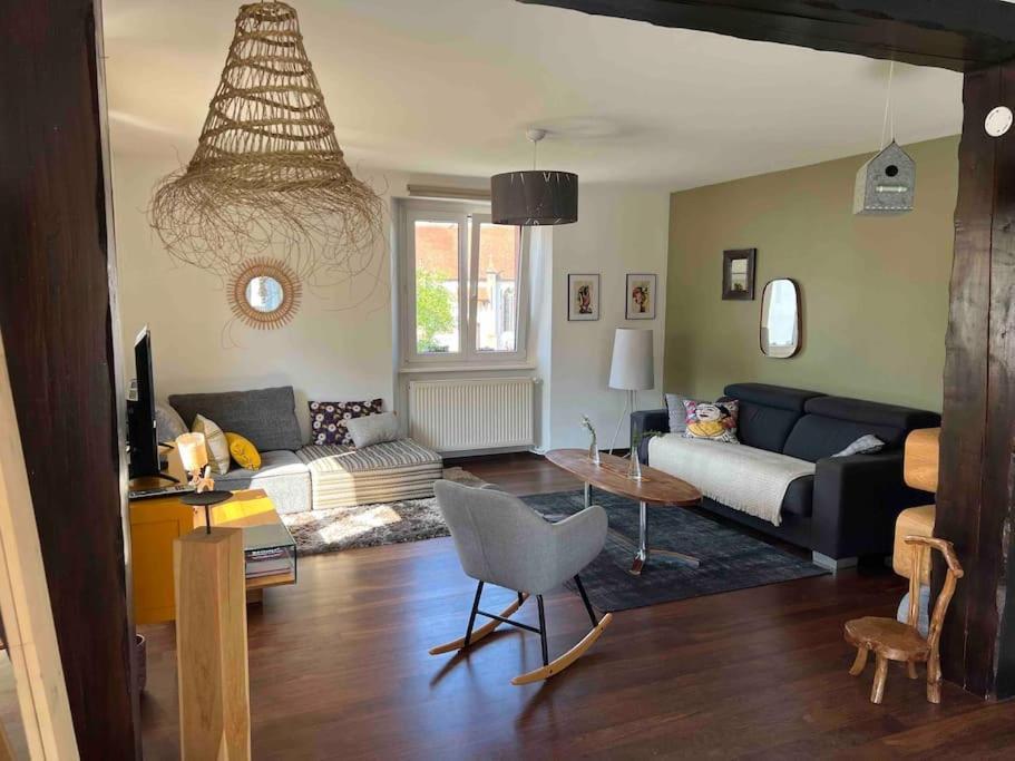 * La Petite Alsacienne * Apartment Ammerschwihr Ngoại thất bức ảnh